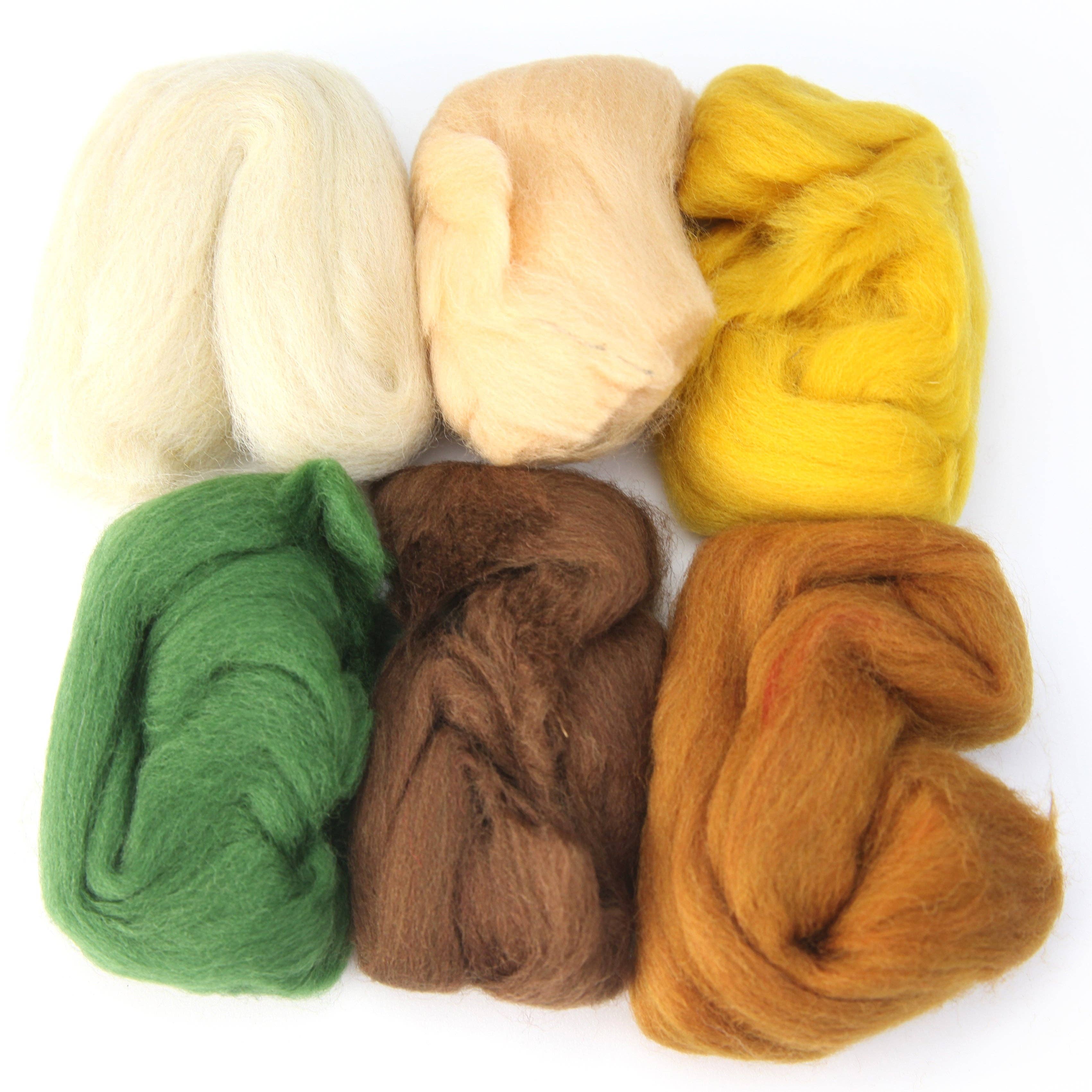 Four Season Color Wool Fiber for Needle Felting: SUMMER