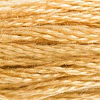 DMC Six Stand Embroidery Floss