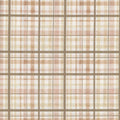 Dear Stella Fabric Birch Willow Bunny