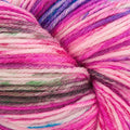 Cascade Heritage Painted, Tropical Blooms