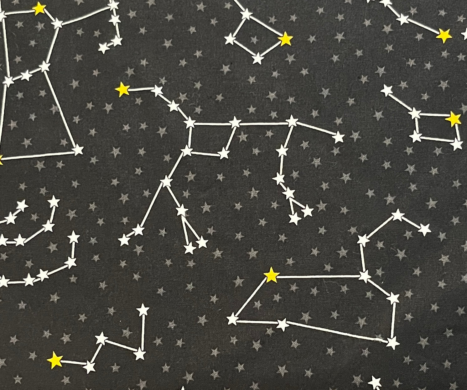 Robert Kaufman Cotton Fabrics Dino-Saur